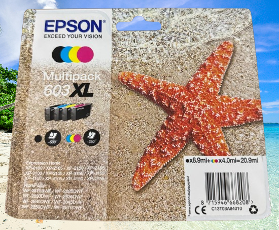 Epson Multipack 603XL (Original)